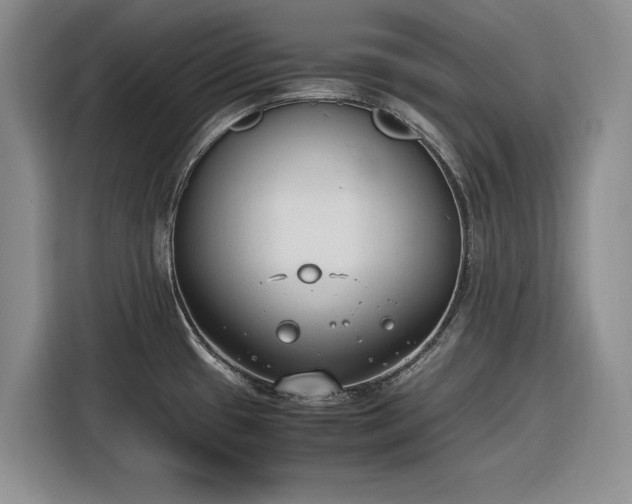 X0000116271433200912071033