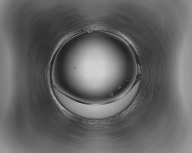 X0000116271434200912071033
