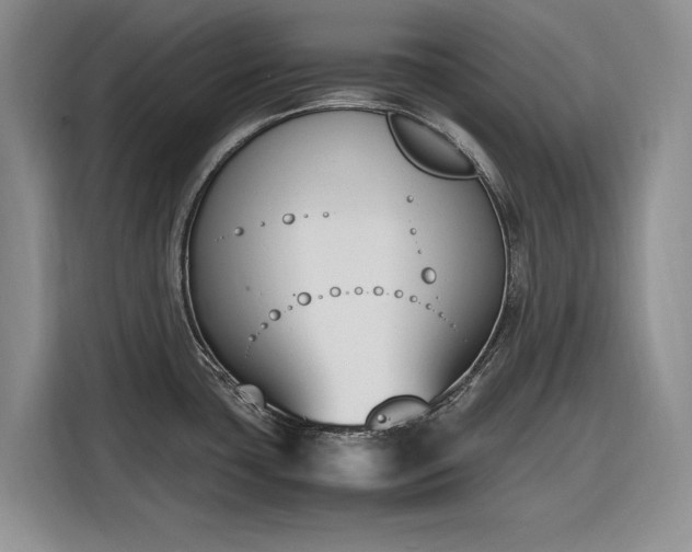 X0000116271435200912071033