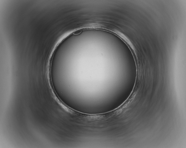 X0000116271437200912071033