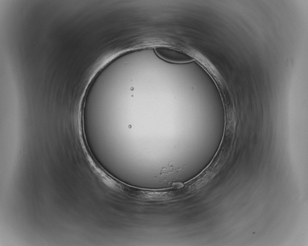 X0000116271439200912071033
