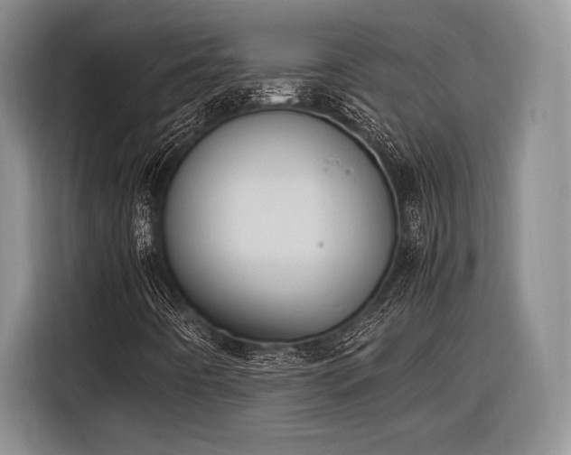 X0000116271442200912071033