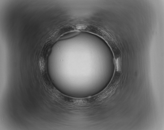 X0000116271443200912071033