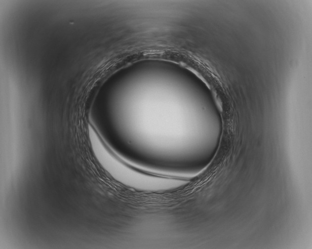 X0000116271445200912071033