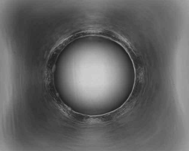 X0000116271448200912071033