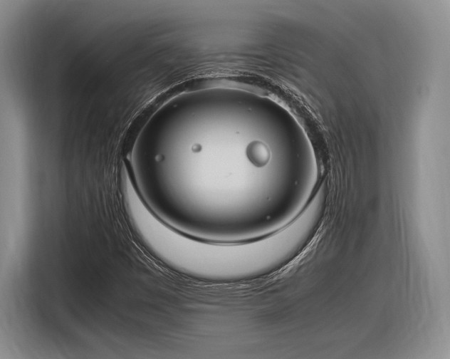 X0000116271449200912071033