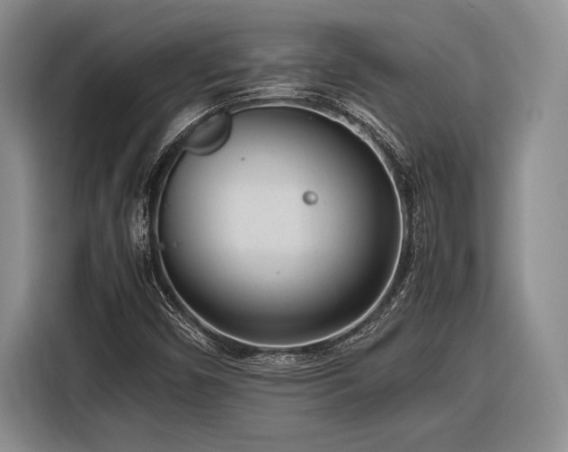 X0000116271450200912071033