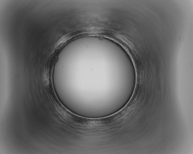X0000116271451200912071033