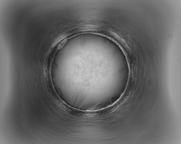 X0000116271453200912071033