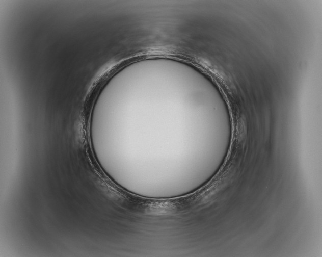 X0000116271454200912071033