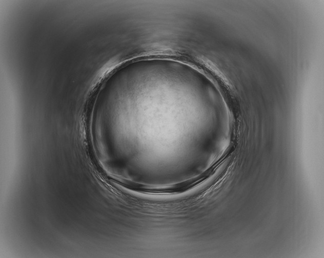 X0000116271455200912071033