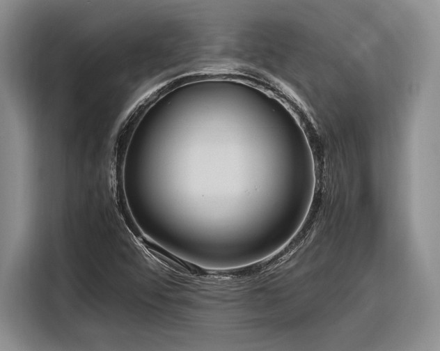 X0000116271456200912071033