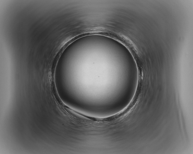 X0000116271457200912071033