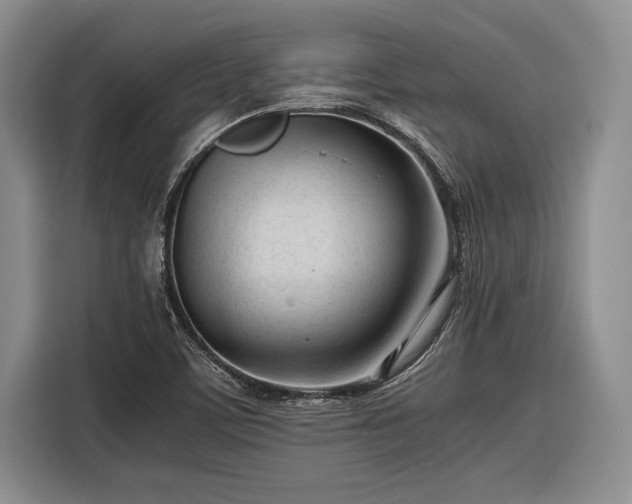 X0000116271459200912071033