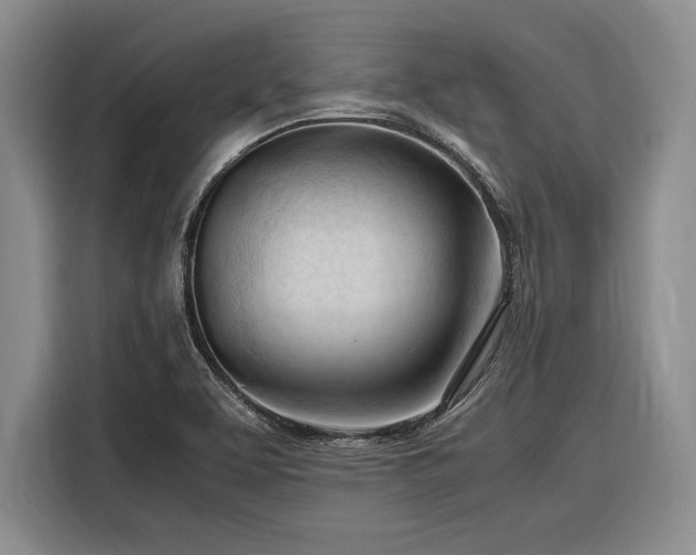 X0000116271463200912071032
