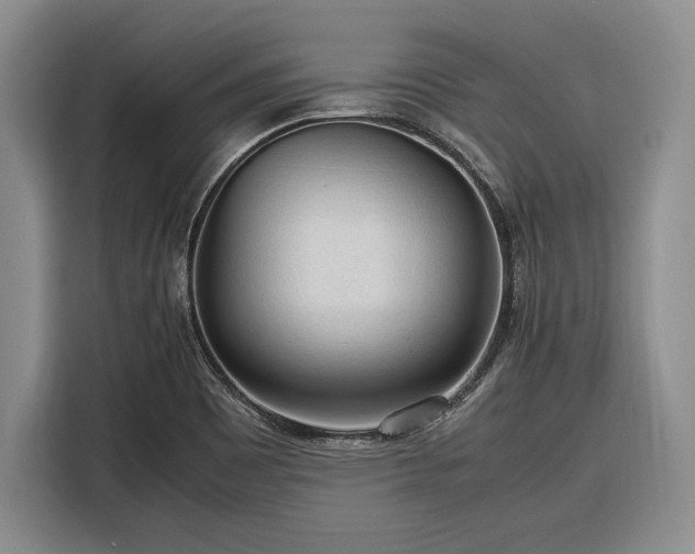 X0000116271465200912071032