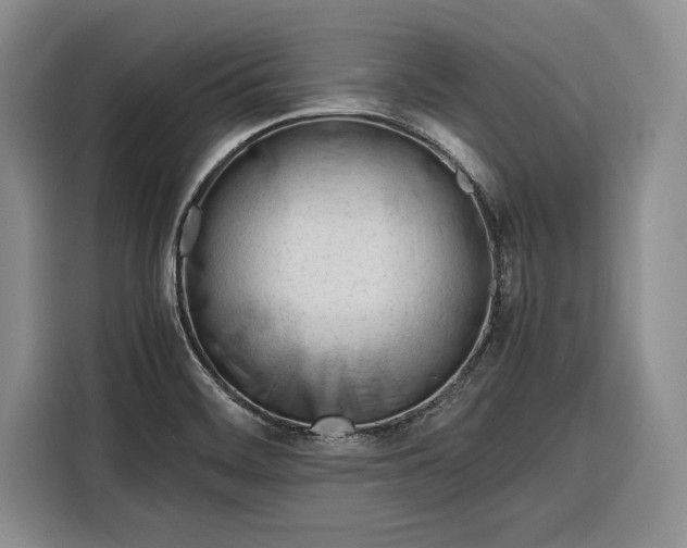 X0000116271468200912071032