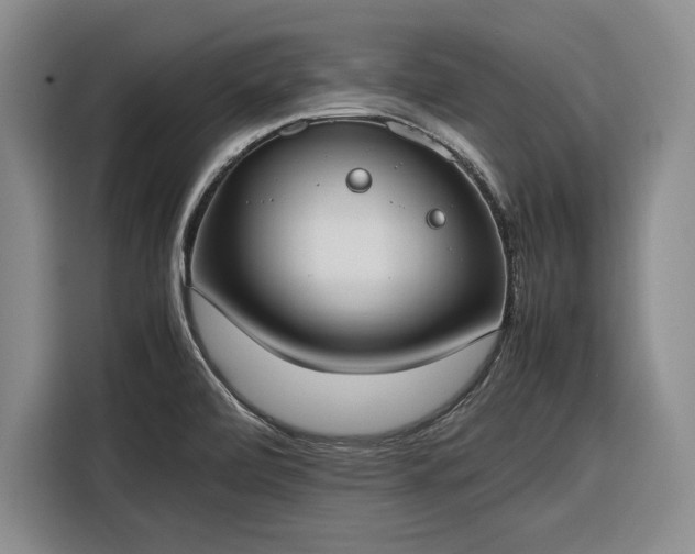 X0000116271472200912071032