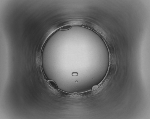 X0000116271473200912071032