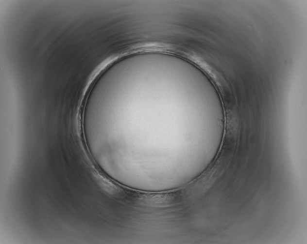 X0000116271474200912071032