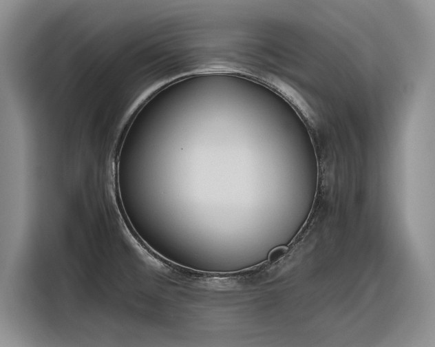 X0000116271476200912071032