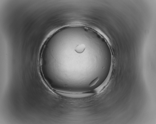X0000116271477200912071032