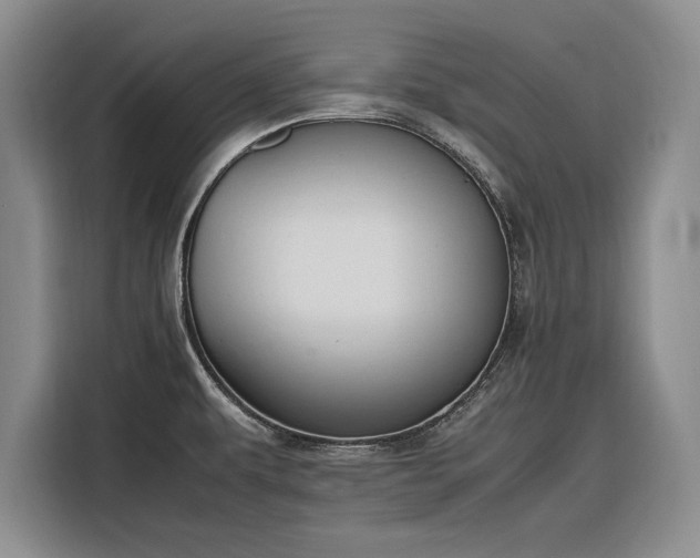 X0000116271479200912071032