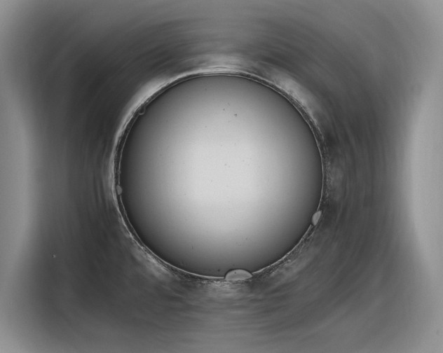 X0000116271480200912071032