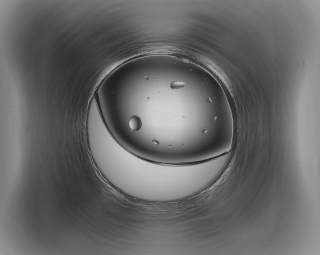 X0000116271481200912071032