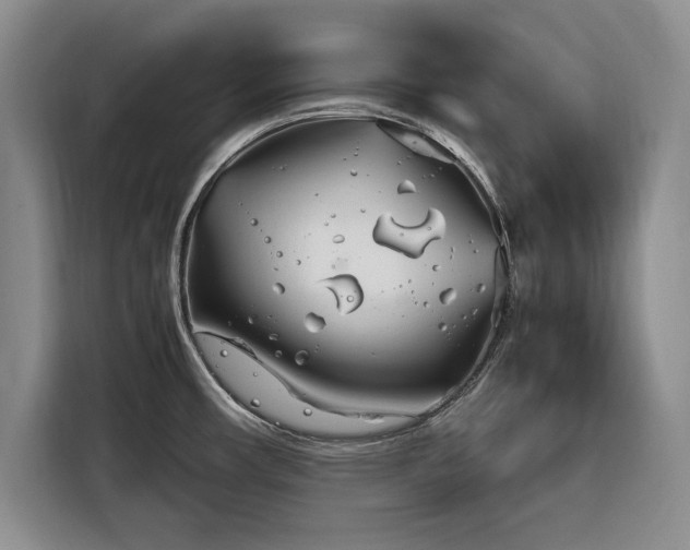 X0000116271482200912071032