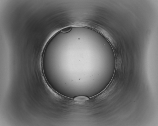 X0000116271484200912071032