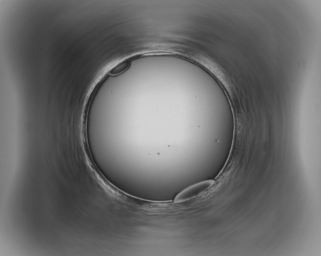X0000116271485200912071032