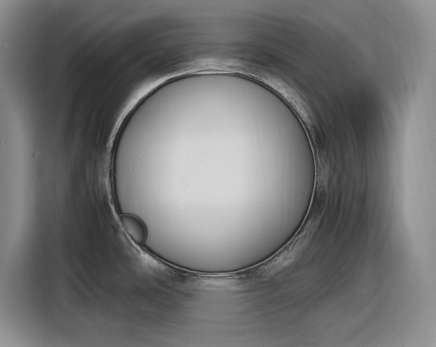 X0000116271486200912071032