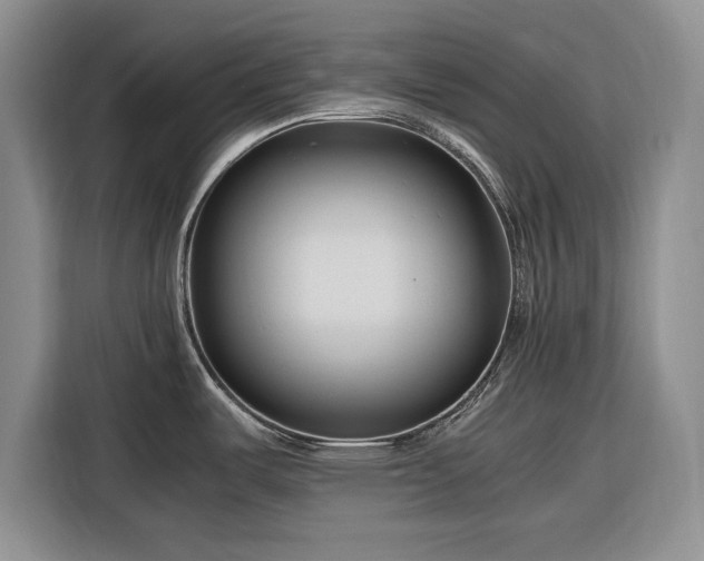 X0000116271487200912071032