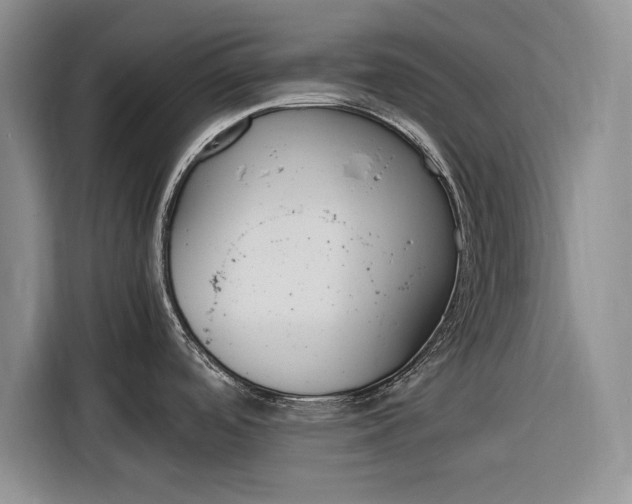 X0000116271488200912071032
