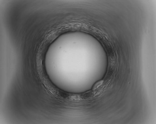 X0000116271489200912071032