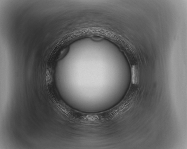 X0000116271491200912071032