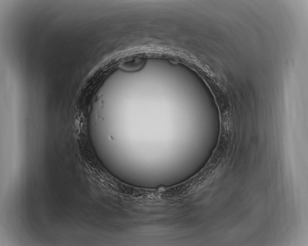 X0000116271495200912071032