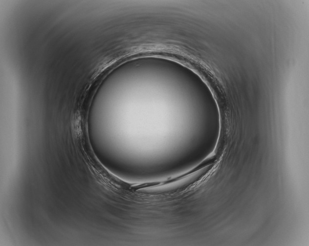 X0000116271497200912071032