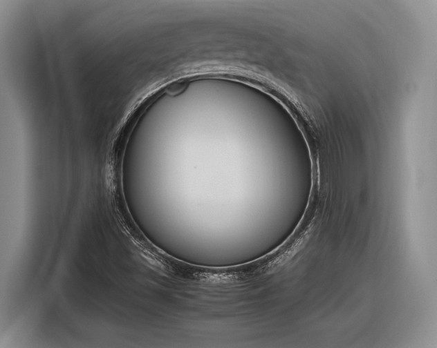 X0000116271501200912071032