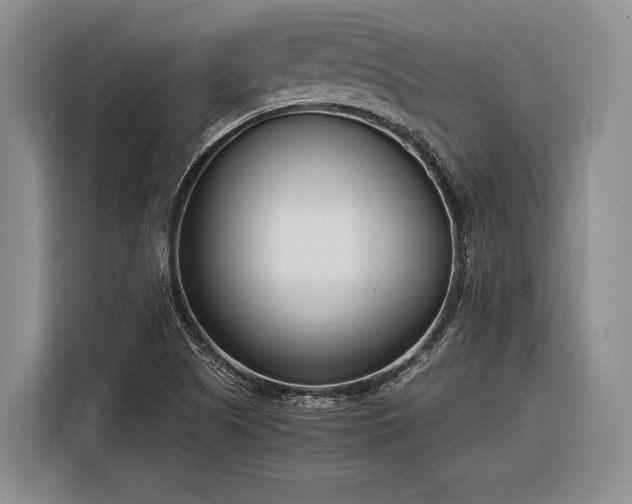 X0000116271505200912071032
