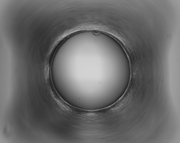 X0000116271507200912071032