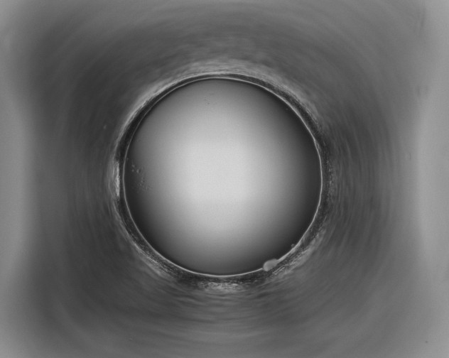 X0000116271509200912071032
