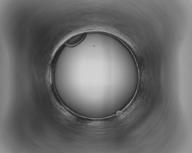 X0000116271510200912071032