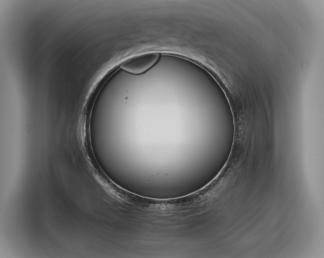 X0000116271511200912071032