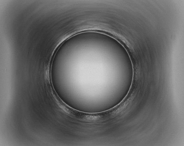 X0000116271513200912071032