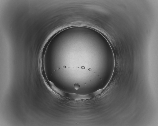 X0000116271515200912071032