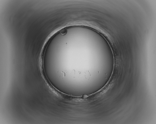 X0000116271517200912071032
