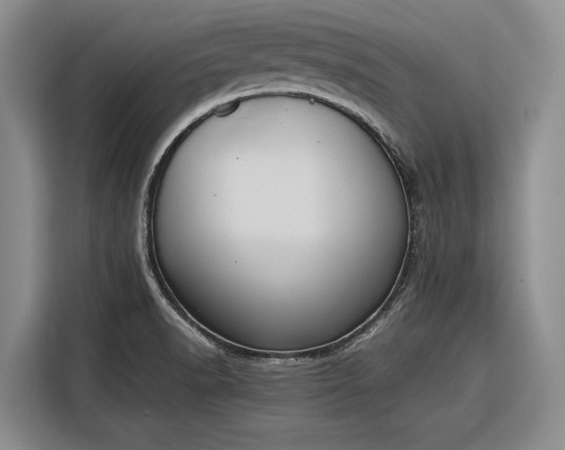 X0000116271518200912071032