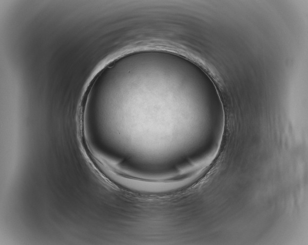 X0000116271522200912071032